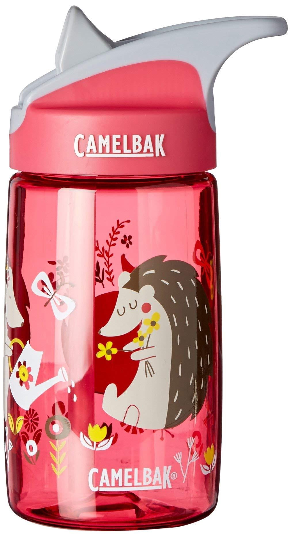 CamelBak Eddy Kids Water Bottle, Airplane Bandits.4 L Edition-PR8U