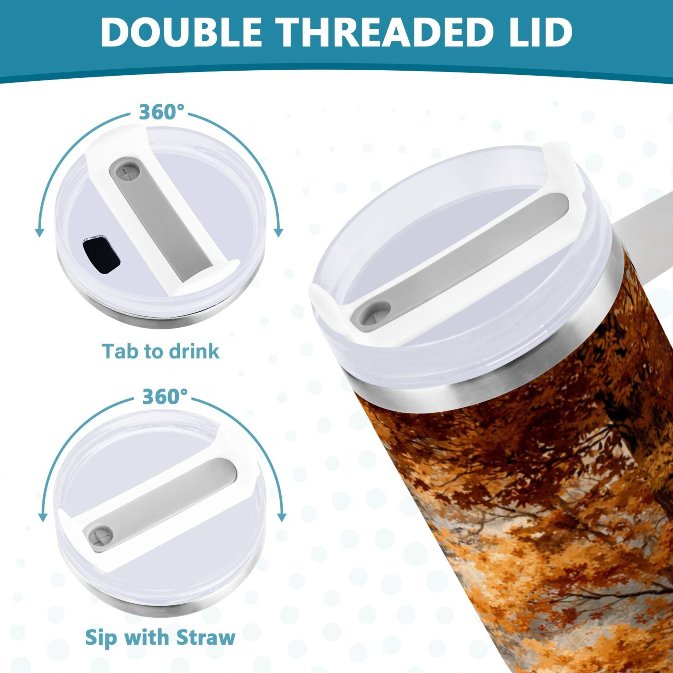 30 oz Insulated Stainless Steel Tumbler Double Wall Stainless Steel Tumbler with 2-Way Drinking Beautiful Autumn Forest Edition-2FHX