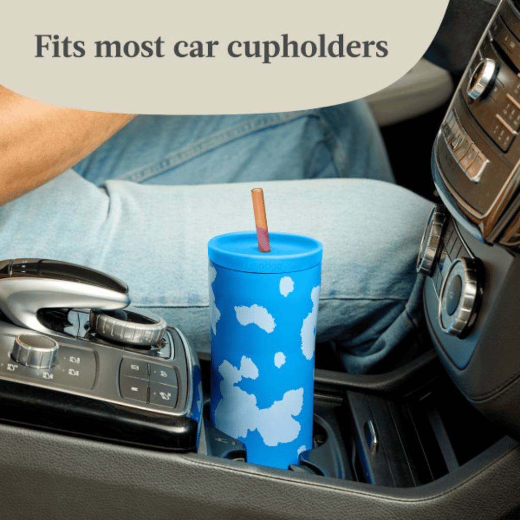 Contigo x Ally Love Streeterville 2.0 Stainless Steel Tumbler with Straw, 24 oz, Stellar Jay Edition-6LI2