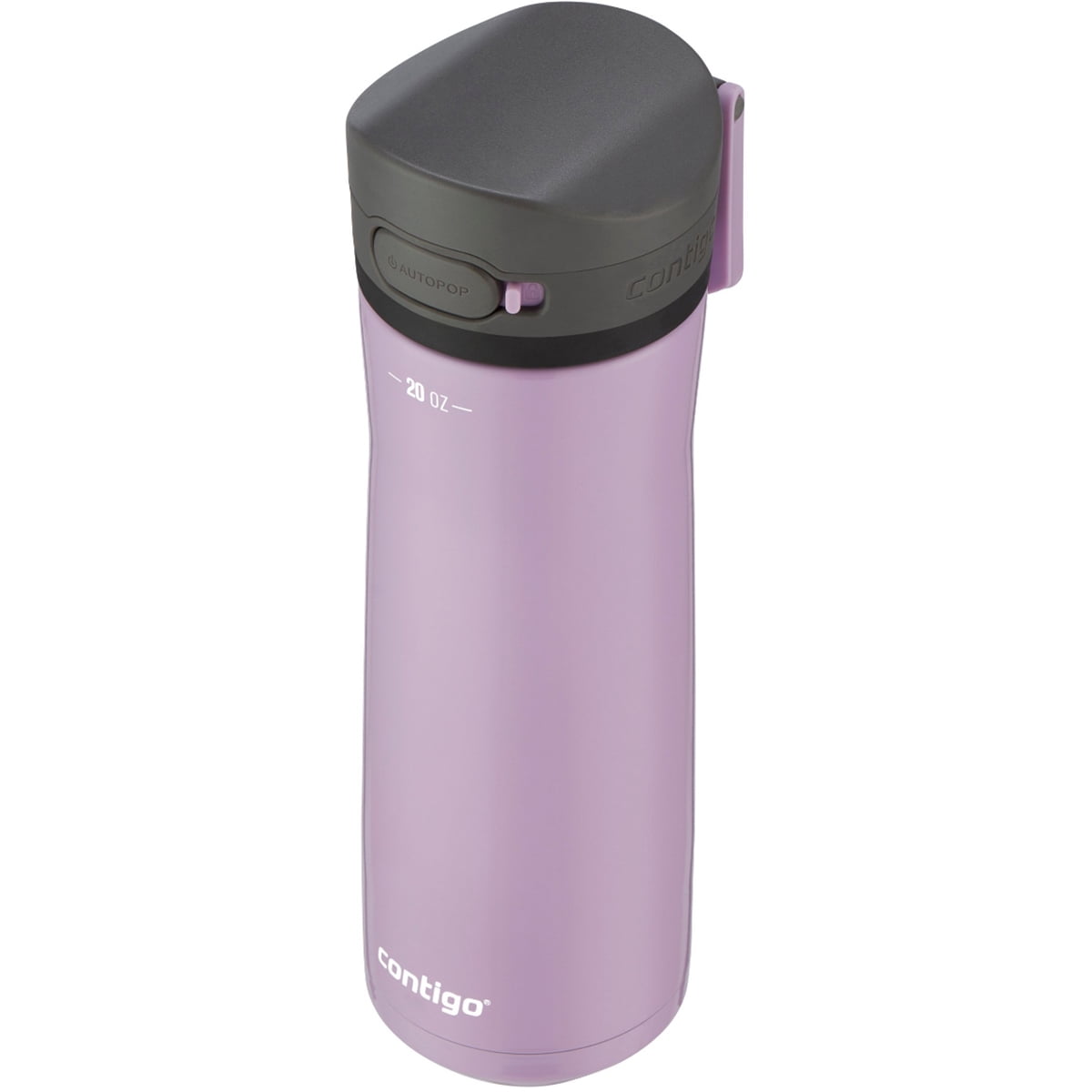 Contigo 20 oz. Jackson Chill 2.0 Water Bottle - Stainless Steel w/Licorice Edition-Y1XH