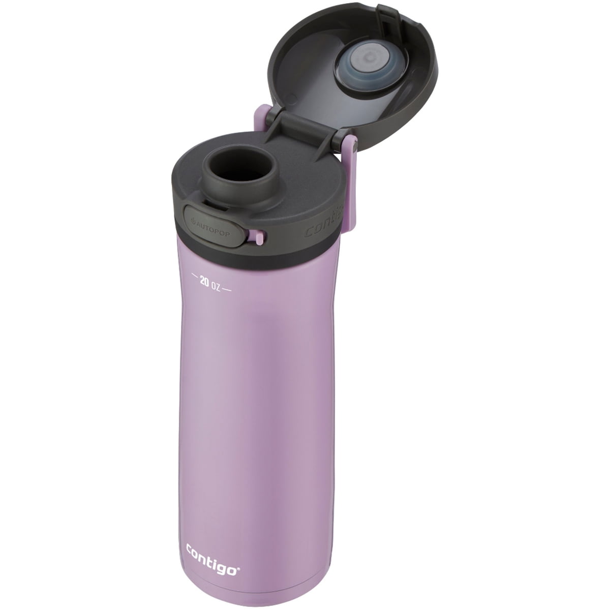 Contigo 20 oz. Jackson Chill 2.0 Water Bottle - Stainless Steel w/Licorice Edition-Y1XH