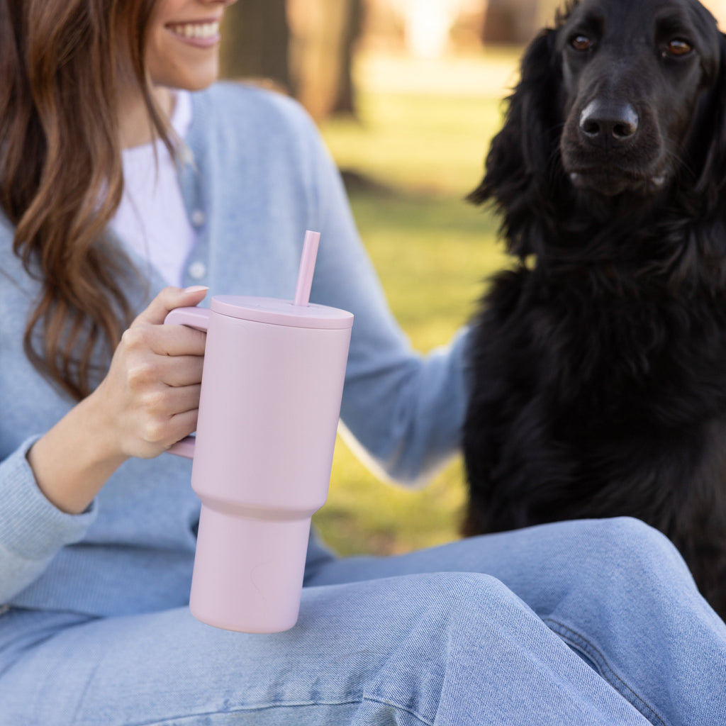 Simple Modern 30 fl oz Insulated Stainless Steel Trek Tumbler with Straw Lid | Seaglass Sage and Cream Checkmate Edition-16A6