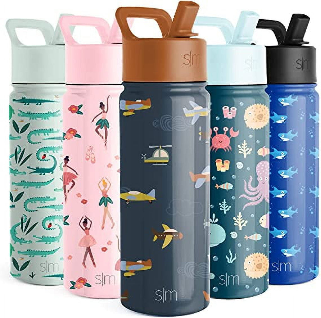 Simple Modern Summit Water Bottle Straw Lid Vacuum Insulated Stainless Steel Bottle | 18 fl oz Edition-B5F5
