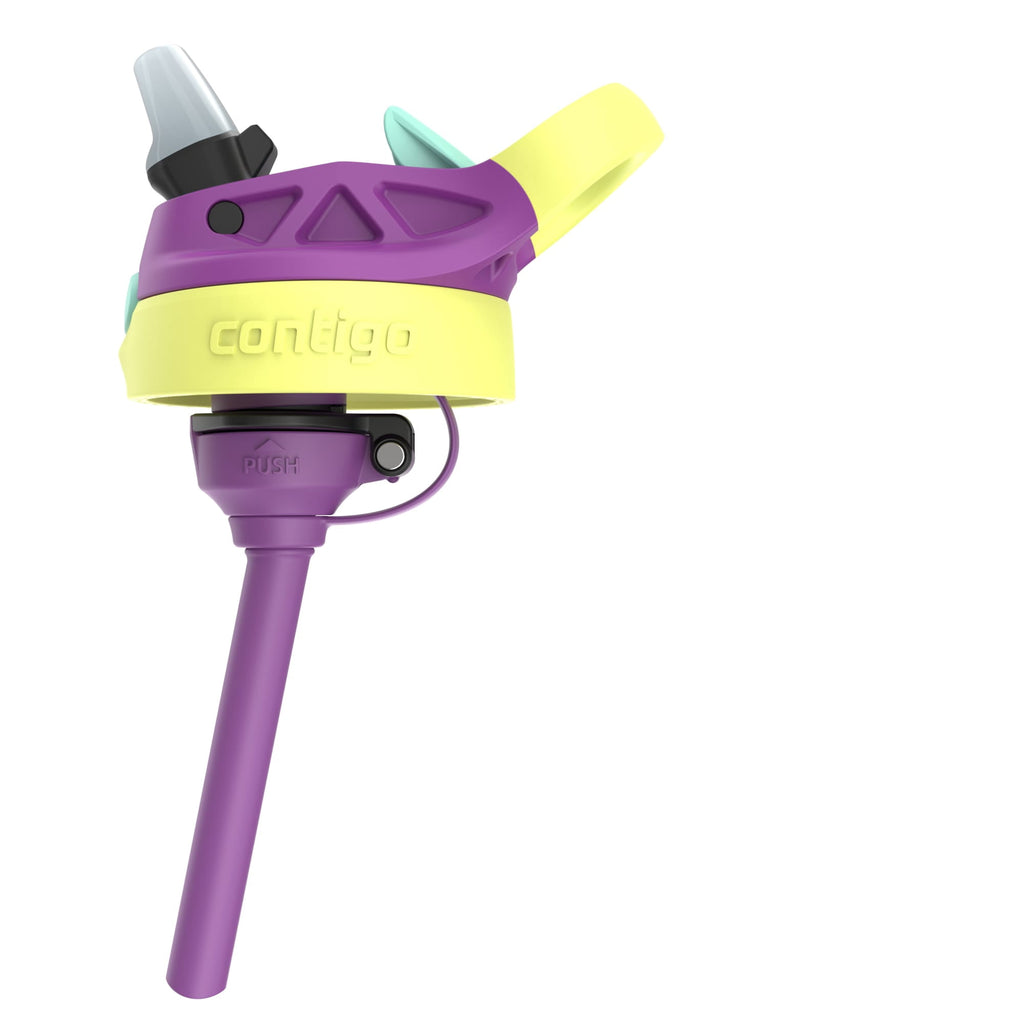 Contigo Kids Water Bottle with Redesigned AUTOSPOUT Straw, 14 oz, Grape Forest Haven Edition-W89R
