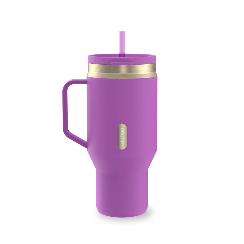 Contigo SnapSeal Leakproof Stainless Steel Reusable Water Bottle Tumbler with Side Handle, Black/Bronze, 30 oz Edition-YI8J