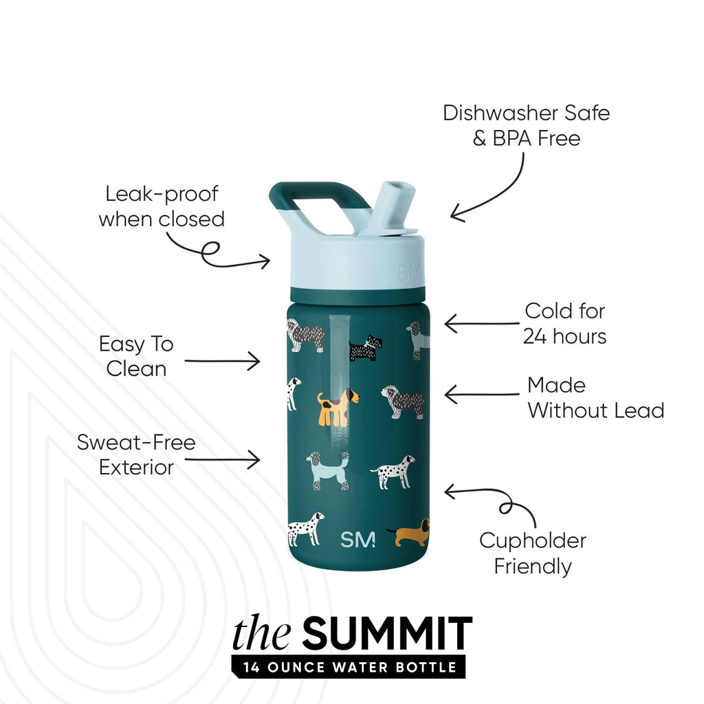 Simple Modern 14oz Summit Water Bottle with Straw Lid | Confetti Edition-DZ45
