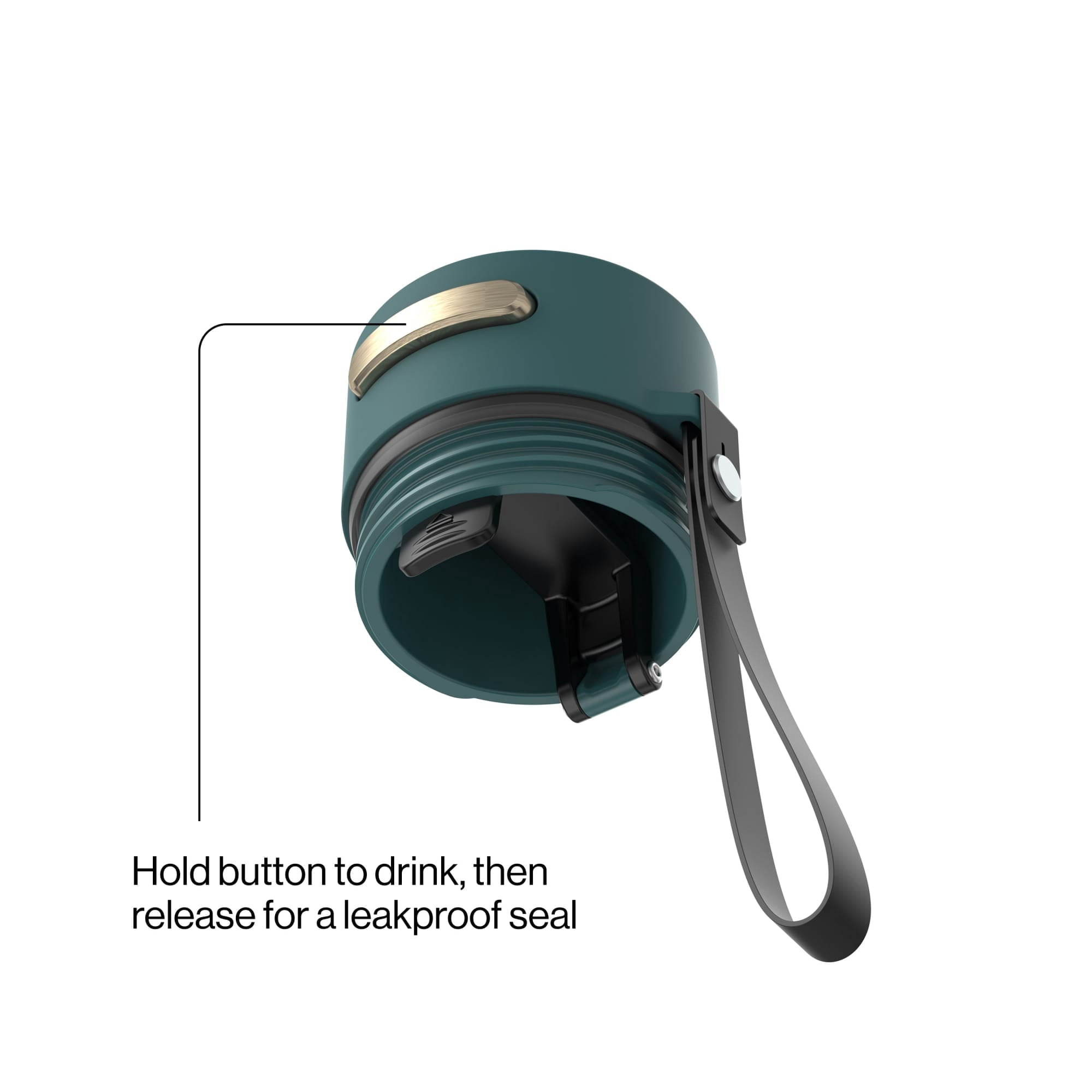 Contigo AutoSeal 16 oz Leakproof Water Bottle with Carrying Strap Edition-SMWH